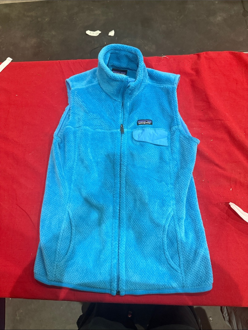 Patagonia Bright Blue Women's Fleece Vest